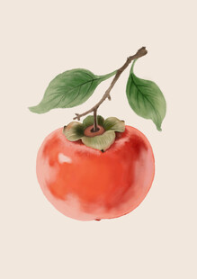 手绘插画柿子
