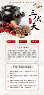 三伏天传统养生文化知识海报