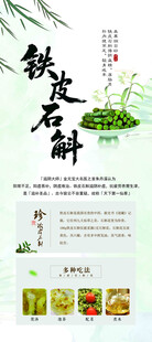 三伏天中草药铁皮石斛介绍海报