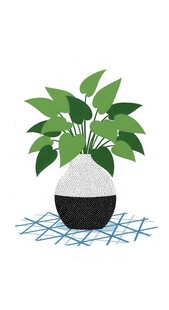 水培绿植盆栽