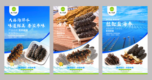 海参宣传海报