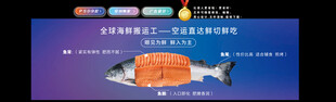 鱼类解剖展示图
