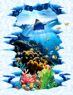 海底世界