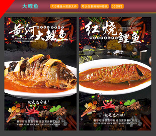黄河大鲤鱼5