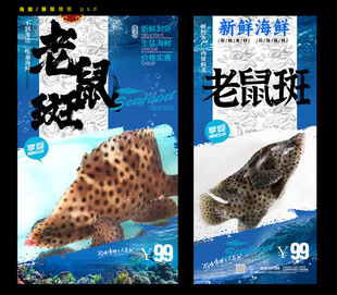 老鼠斑