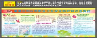 某某公司职业卫生安全防护知识宣