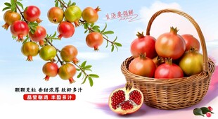 新鲜石榴