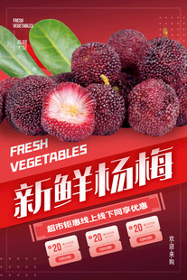 杨梅海报