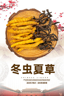 冬虫夏草