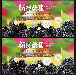 桑葚