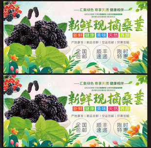 桑葚