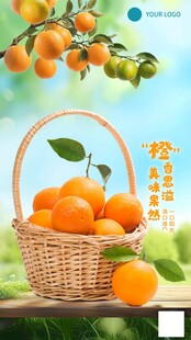 橙子采摘