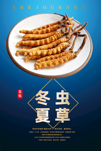冬虫夏草