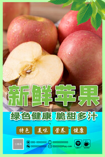 新鲜多汁的优质苹果