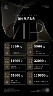 vip充值海报