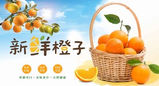 柳橙