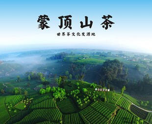 蒙顶山茶