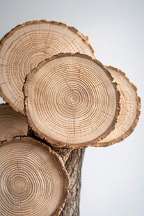 木片纹理展示自然之美