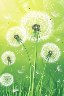 梦幻蒲公英在绿野中绽放