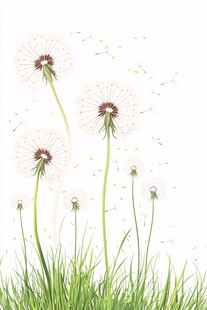 风中蒲公英 绿草相伴