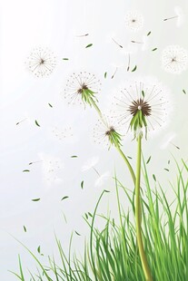 蒲公英轻盈飞舞的美丽瞬间