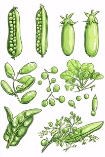 手绘绿色豌豆及植株元素