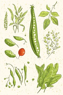 手绘清新蔬菜植物元素集