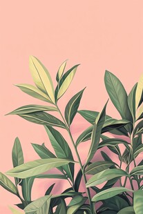 粉色背景下的清新绿植