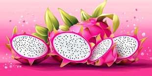 鲜艳火龙果 视觉盛宴