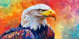 彩色几何风格白头鹰肖像