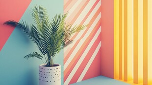 多彩角落的绿植盆栽