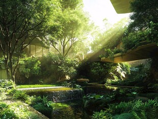 阳光洒落的静谧庭院景观