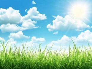 蓝天绿草阳光美好景象
