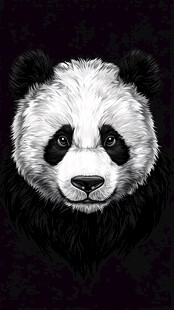 黑白熊猫头像插画