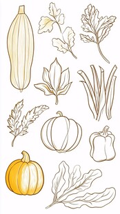手绘秋季蔬菜与叶片集合
