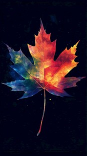 梦幻多彩枫叶特写