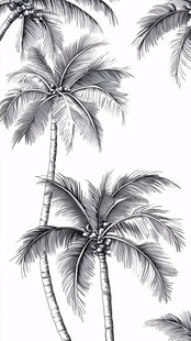 黑白手绘风热带棕榈树图案
