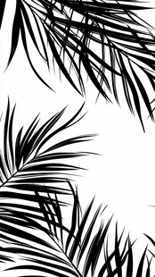 黑白棕榈叶轮廓图案