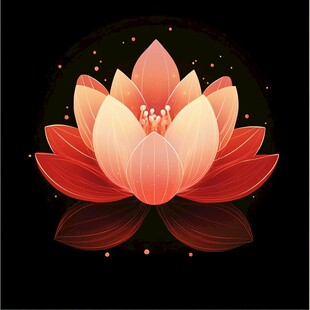 梦幻红莲花绽放