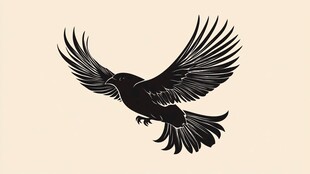展翅翱翔的黑鸟