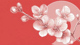 粉红背景下的唯美樱花枝