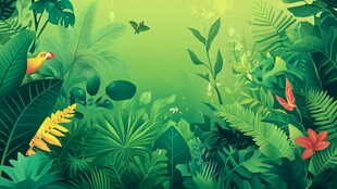 热带雨林中的生机景象