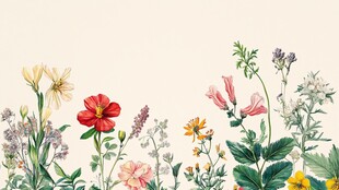 缤纷花卉排列的美丽图景