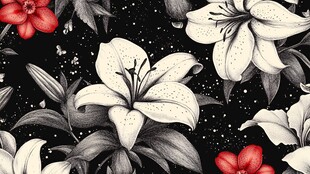 黑白红花卉图案背景图