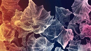 梦幻绚丽的抽象纹理图案