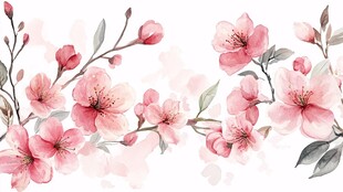粉色烂漫樱花水彩画