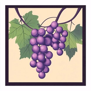 手绘紫葡萄与绿叶插画