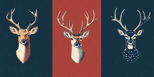 三只风格独特的鹿头插画