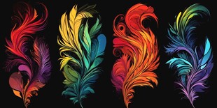 五彩绚丽羽毛图案集合