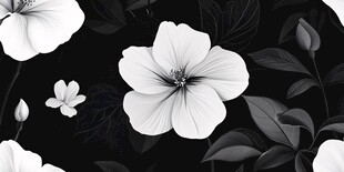 黑白花卉图案背景